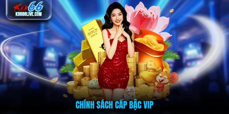 Chính sách cấp bậc VIP 
