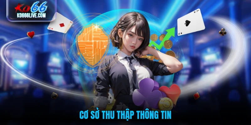 Cơ sở thu thập thông tin