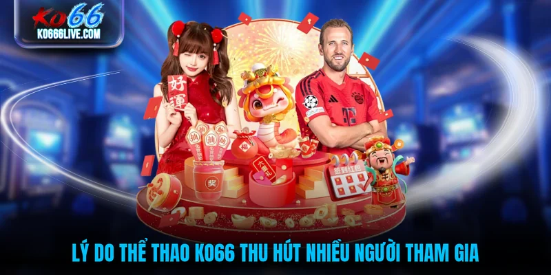 Lý do thể thao KO66 thu hút nhiều người tham gia